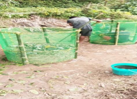 C:\Users\CLLMP\Desktop\Rongma work.jpg